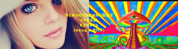 ешки Елизово