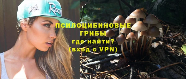 ешки Елизово